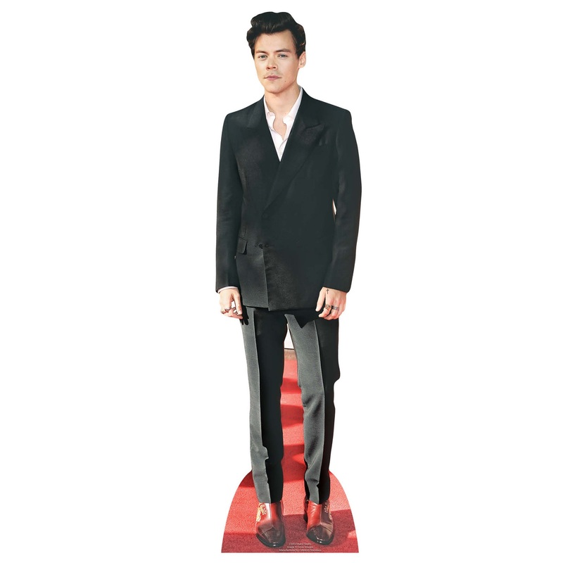Harry Singer cardboard stand 24 x 90cm