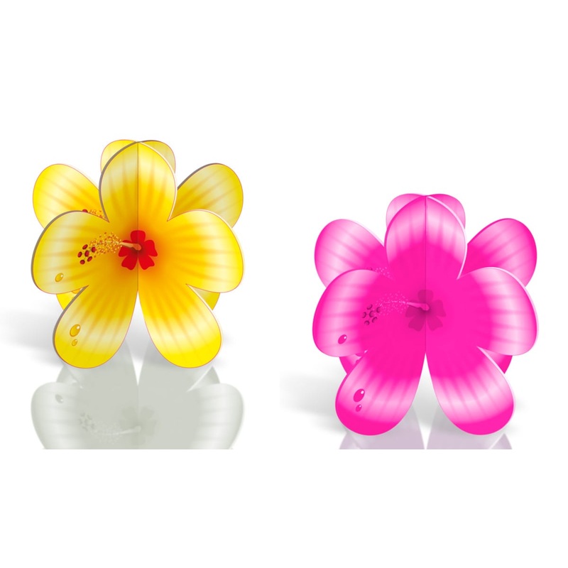 4 hibiscus stands Summerbeach