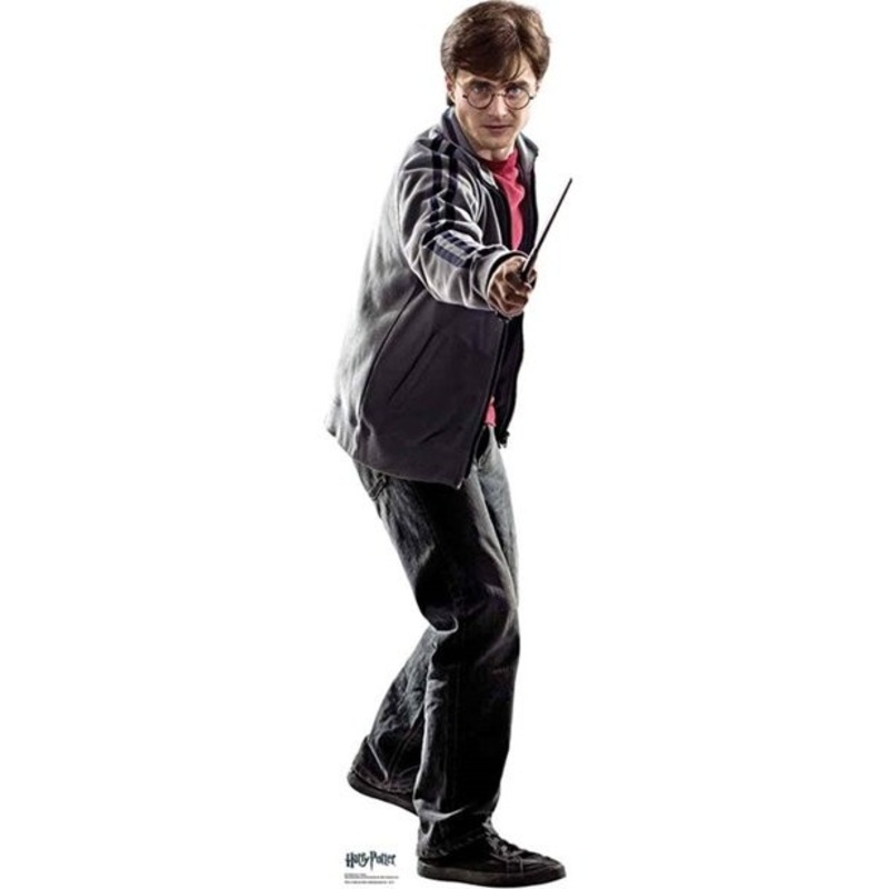 Harry Potter Expelliarmus Mini Cardboard Cutout 92cm