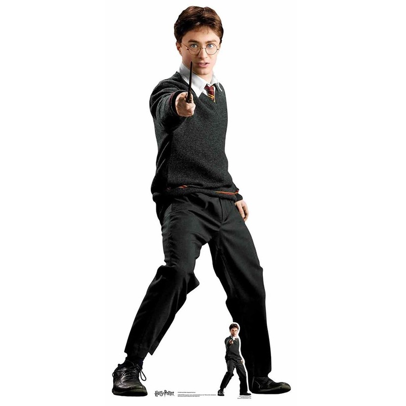 Sorcerer's Apprentice Harry 1.6m