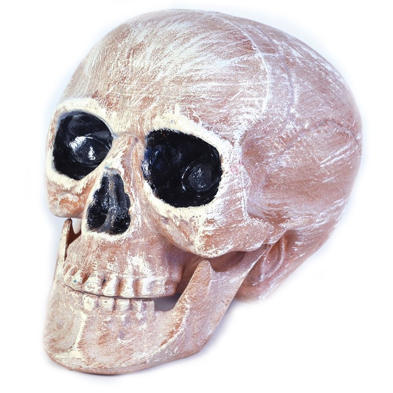 Authentic deco skull
