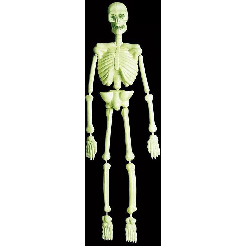 Creepy neon skeleton 92cm