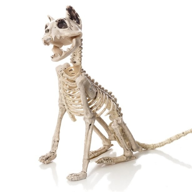 Dog skeleton 48cm
