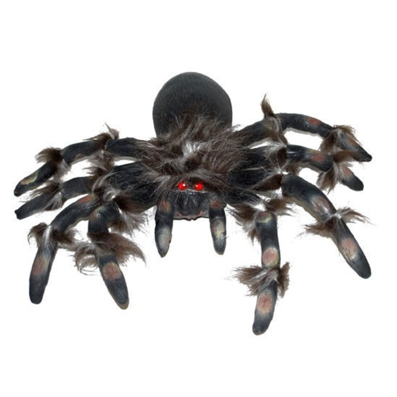 Hairy giant spider 50cm