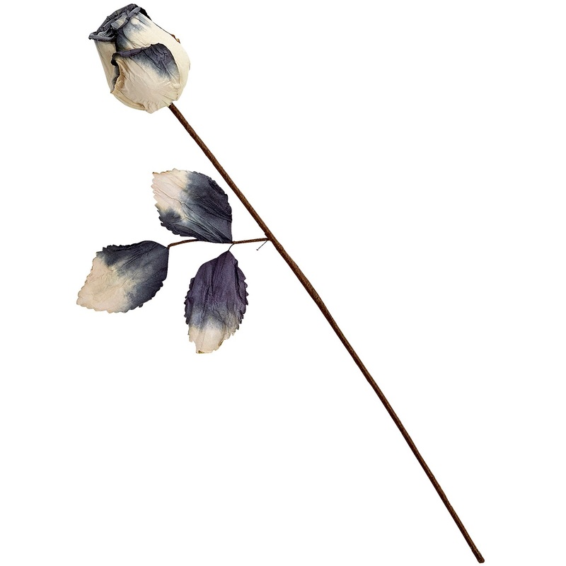 Halloween rose rotting