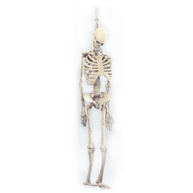 Hanging skeleton life-size