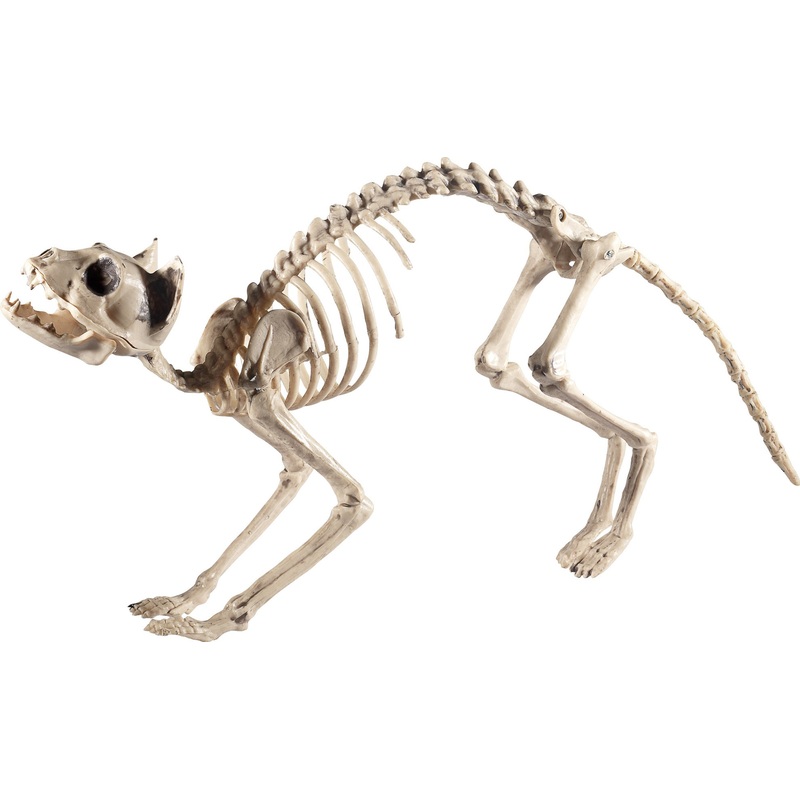 Humpy cat skeleton deco figure 60cm
