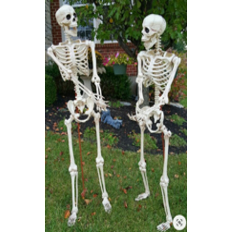 Outdoor figure Skeletown