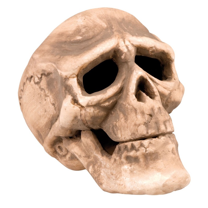 Skull Bone Breaker Lifelike 20cm