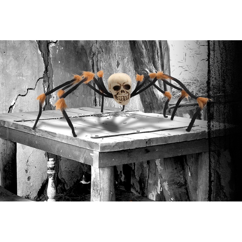 Skull spider of death