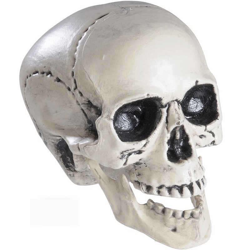 Skull with movable jaw joint 25cm
