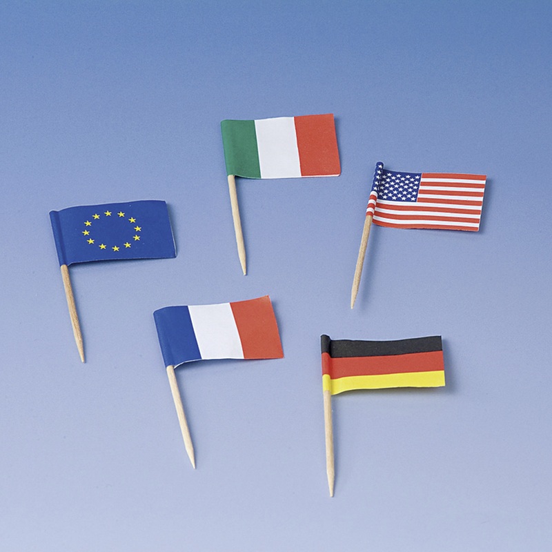 100 international flags skewers