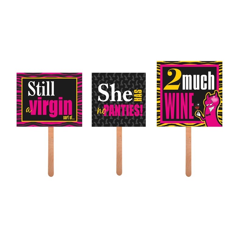 3 signs girls night photo props