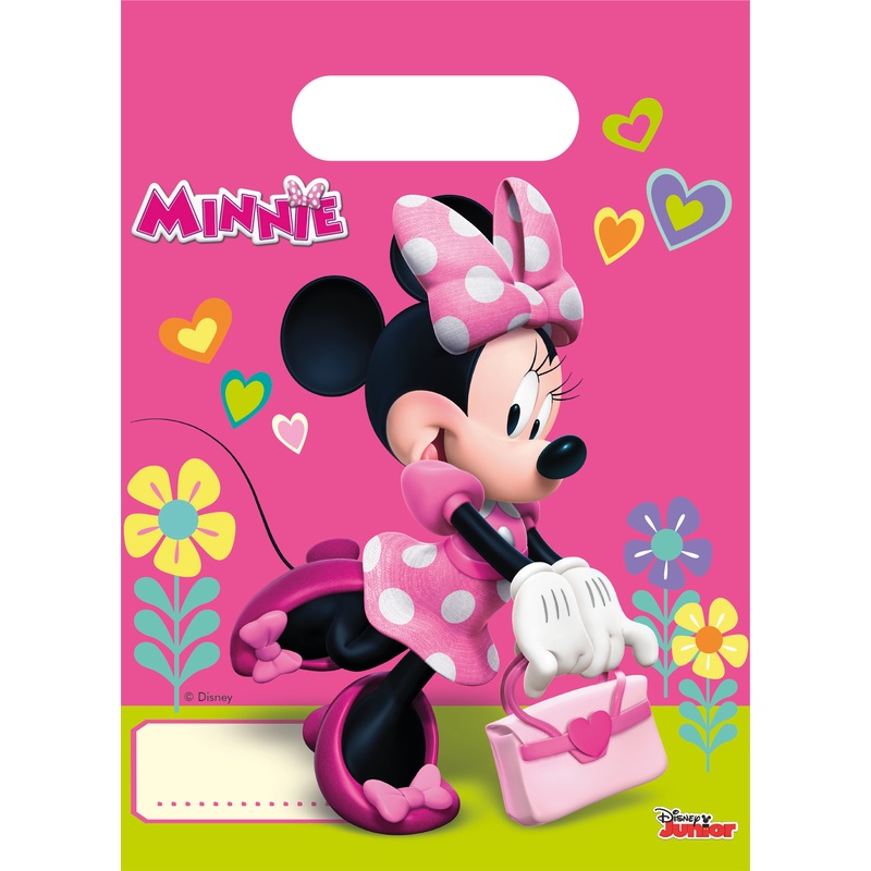 6 Minnie & Daisy gift bags