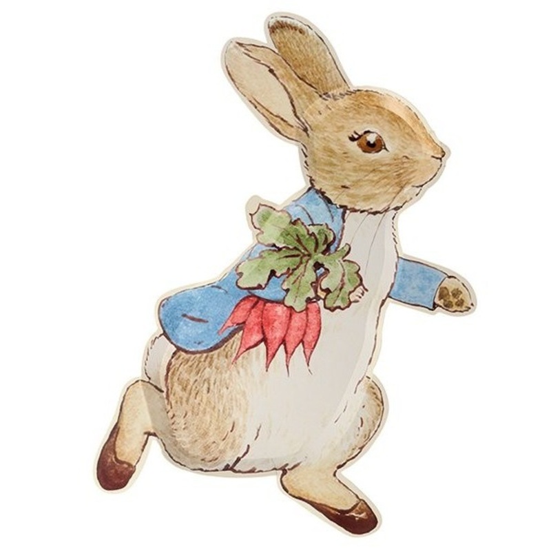 12 Peter Bunny paper plates 30cm