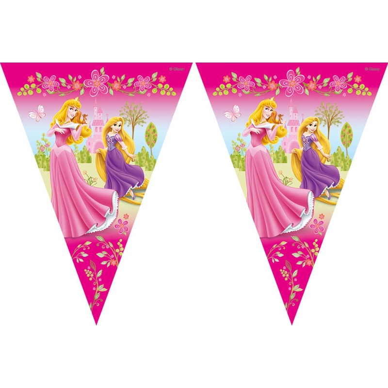 Princesses dream pennant chain flag banner 300cm