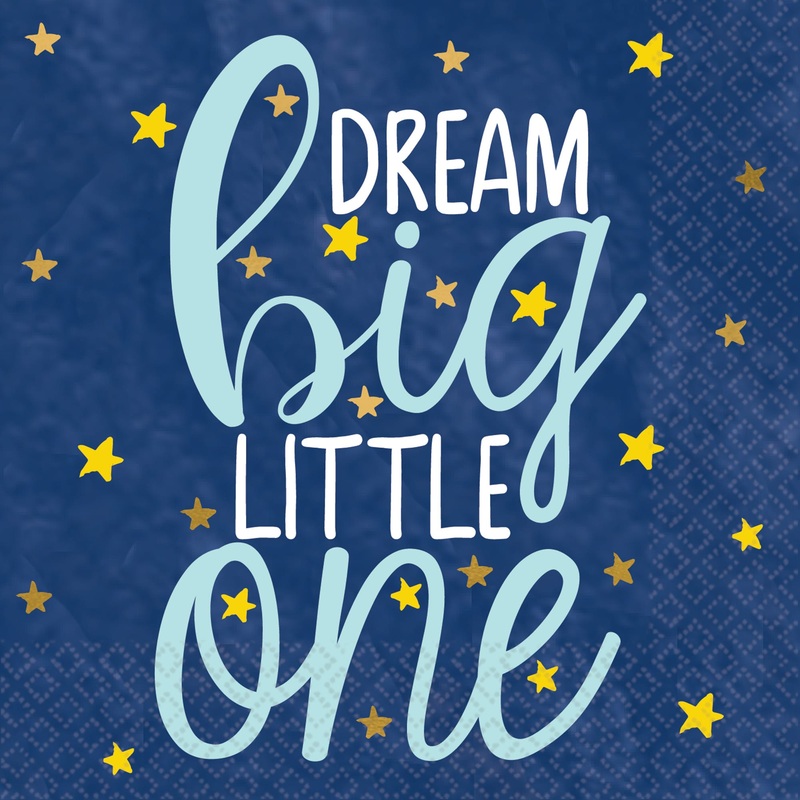 16 Twinkle Little Star napkins 25cm