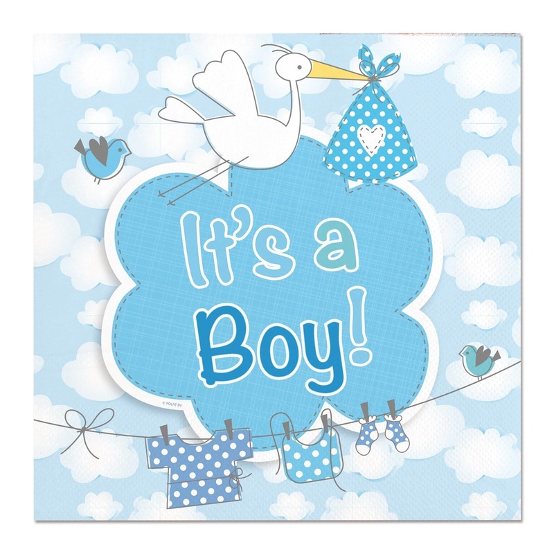 20 Its A Boy Stork Napkins