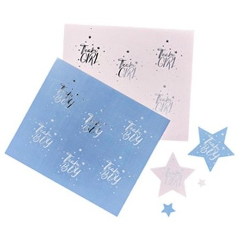 24 Baby Boy or Girl Sticker Stickers