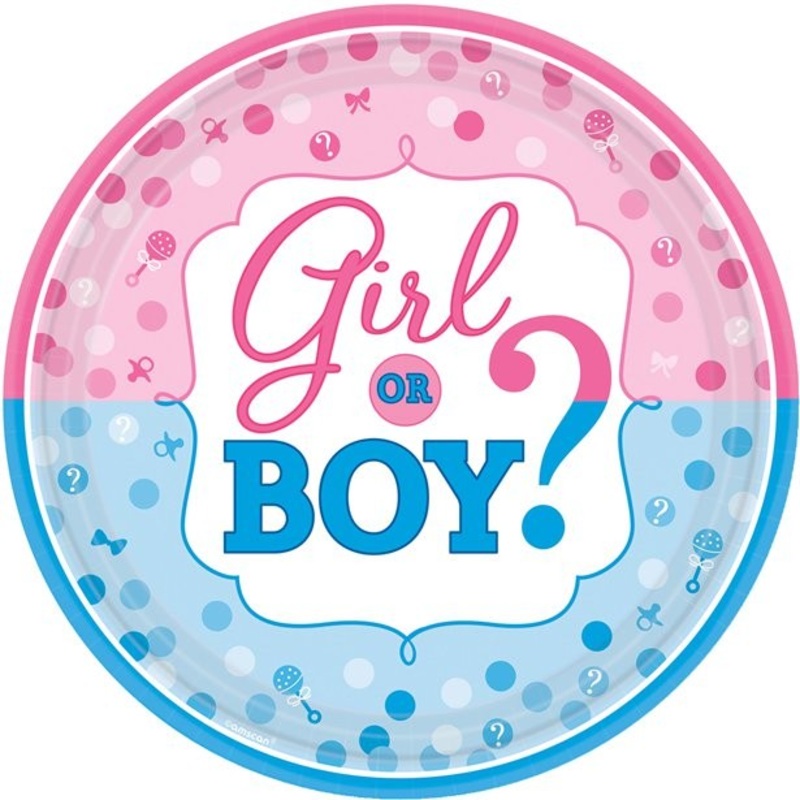 8 Gender Reveal Baby Shower Paper Plates 26cm
