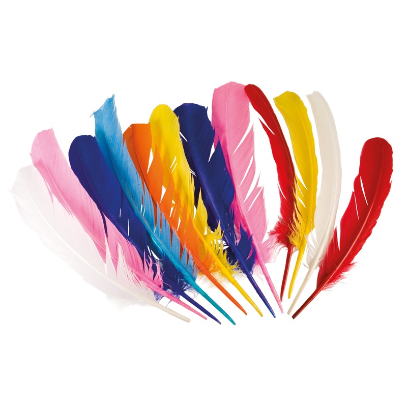 12 colorful Indian feathers
