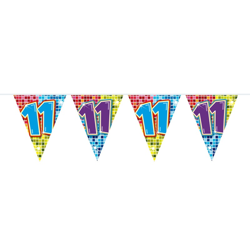 Groovy 11th Birthday pennant chain 6m
