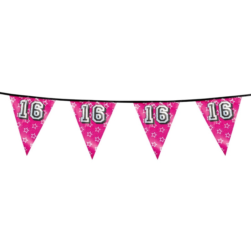 Hologram Sweet 16 pennant chain 600 cm