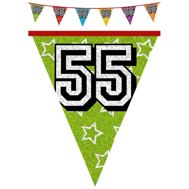 Holographic pennant chain 55 colorful 8m