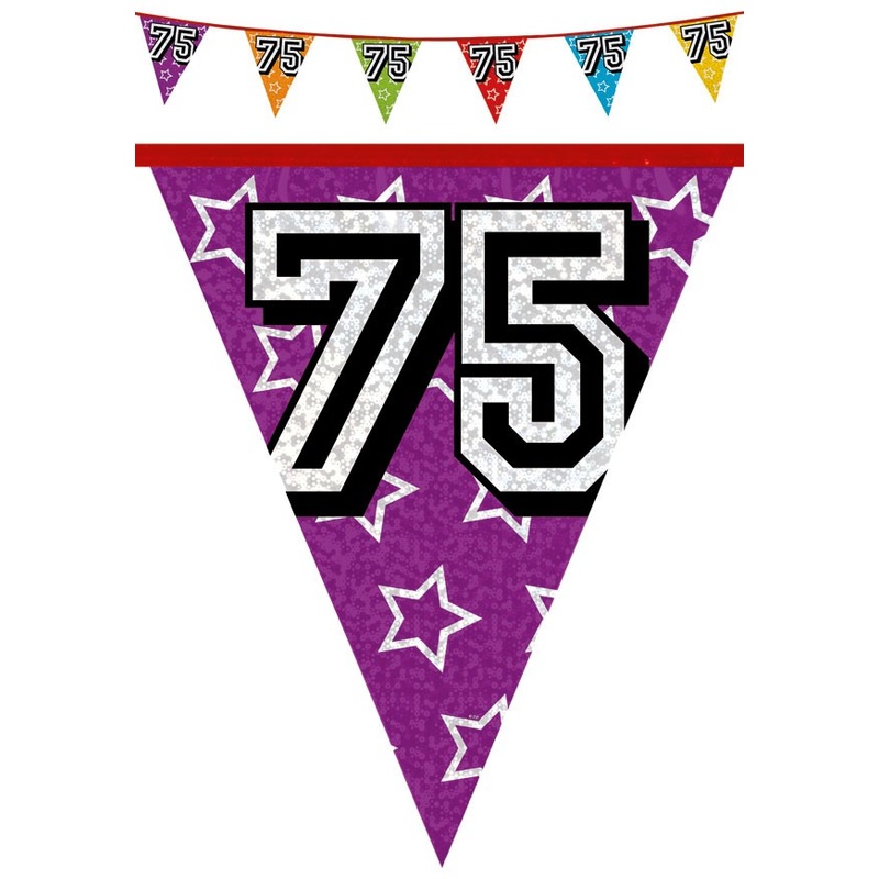 Pennant chain 75 holographic 8m