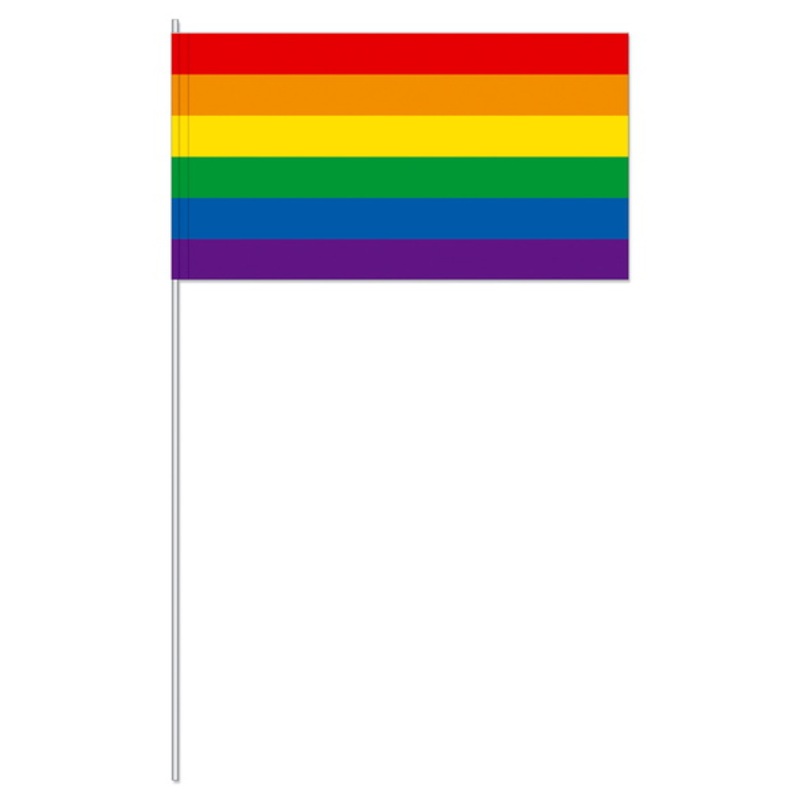 10 Pride paper flags with stick 39cm