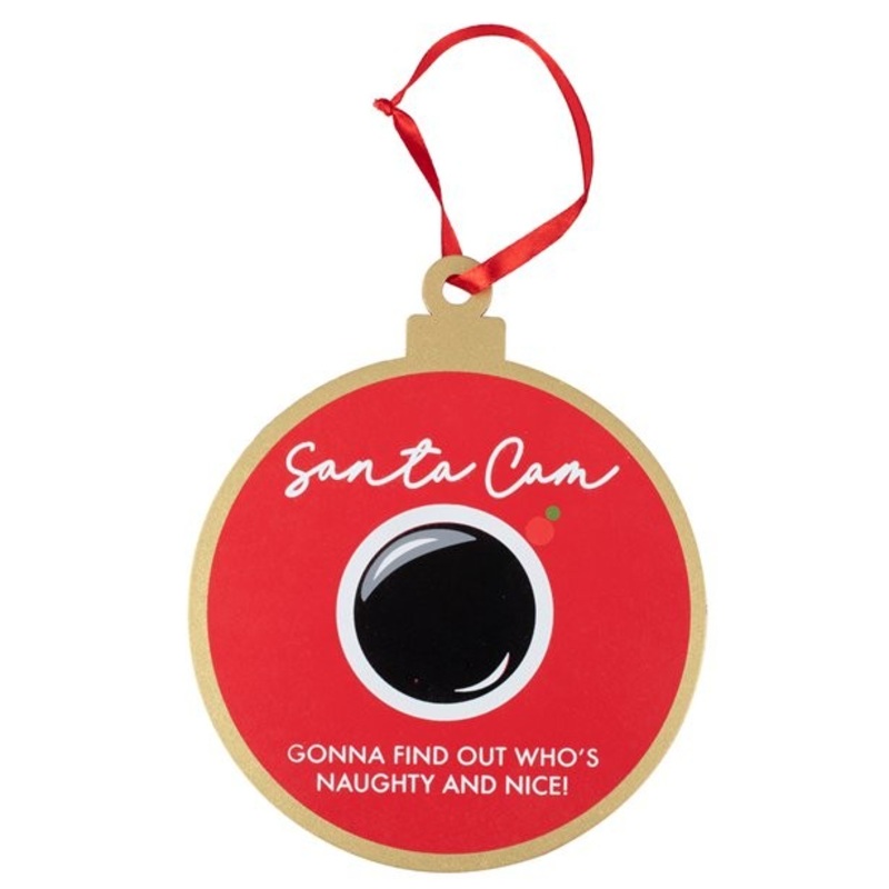 Fake camera Christmas hanger 16cm