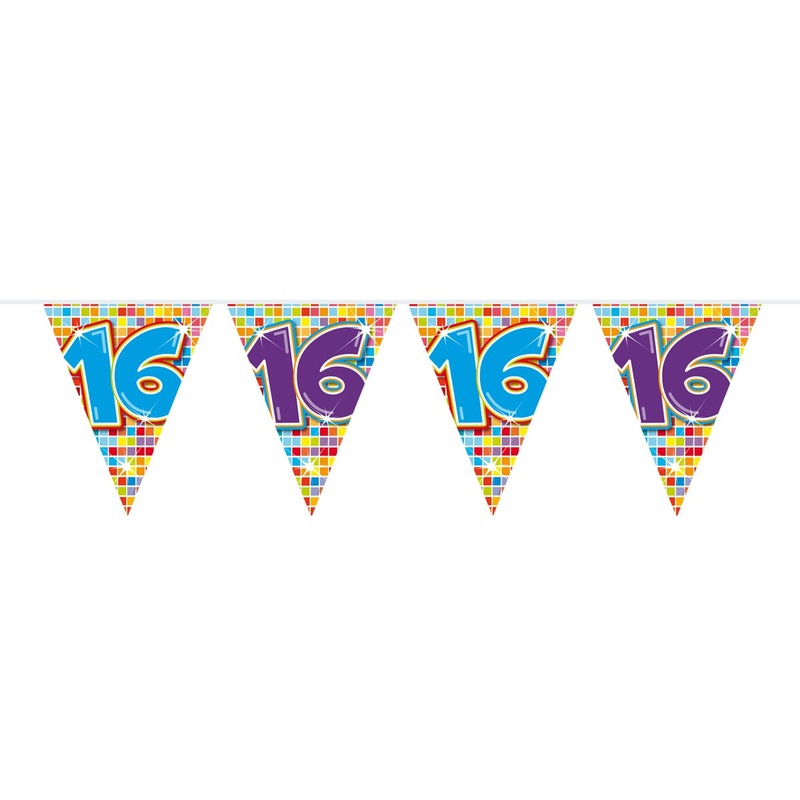 Groovy 16th Birthday pennant chain 6m