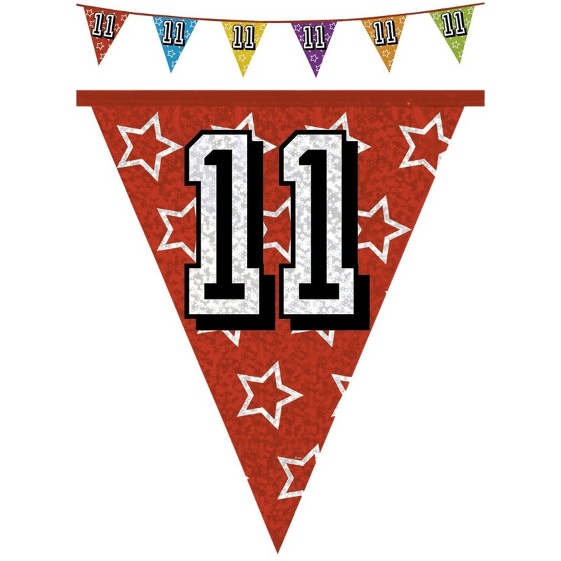 Holographic pennant chain 11 800cm