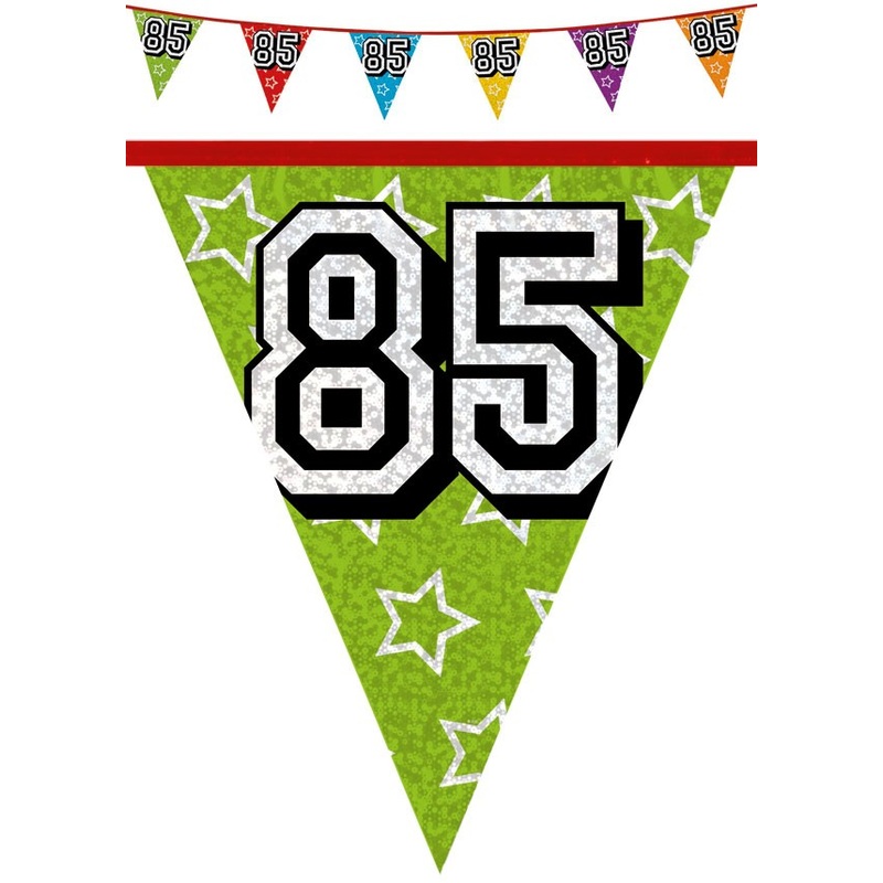 Party pennant chain 85 holographic 8m