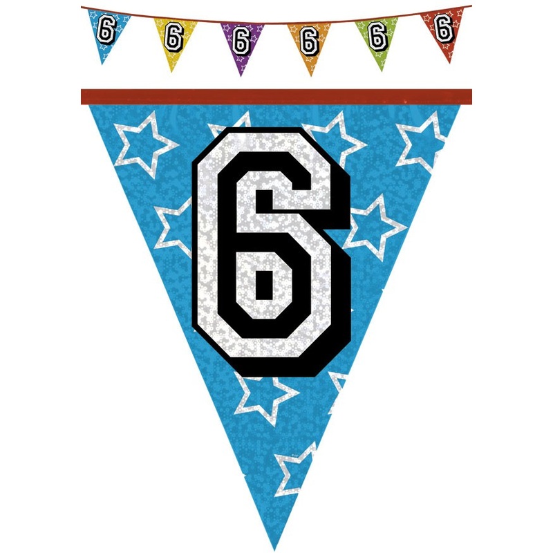 Pennant chain number 6 holographic