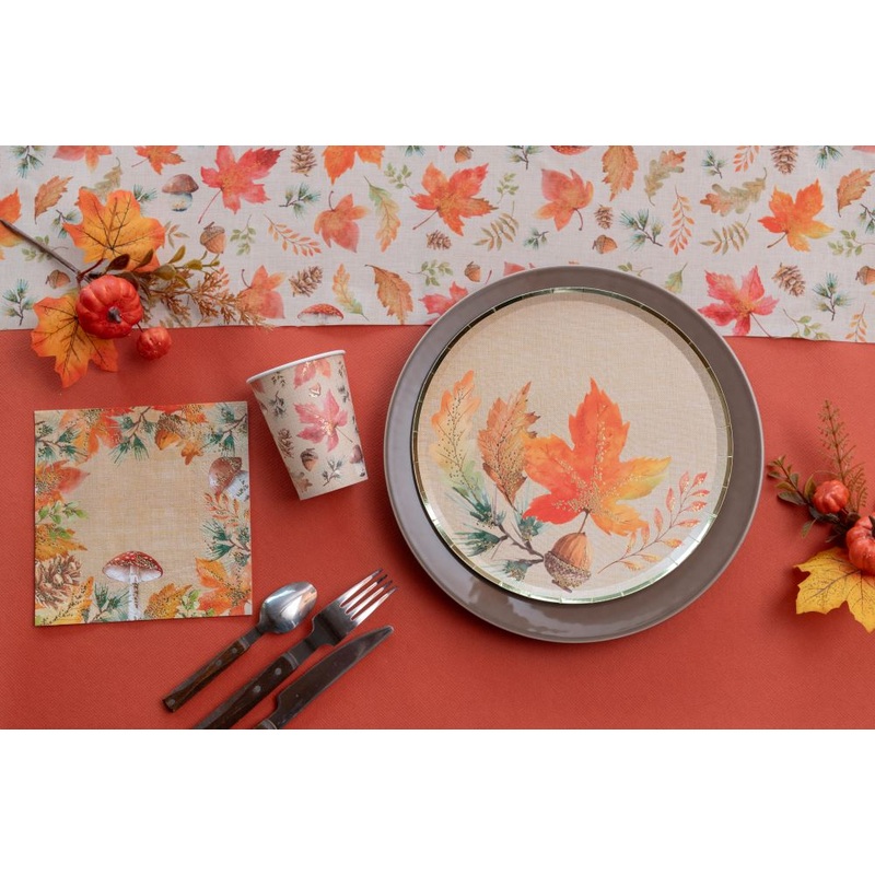 10 paper plates autumn 22.5cm