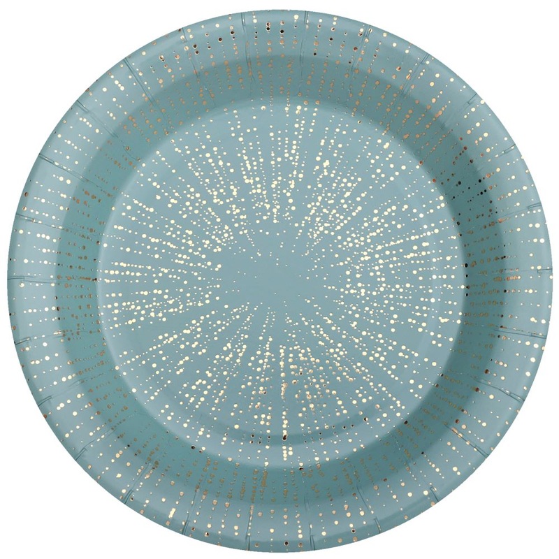10 paper plates blue 22.5cm