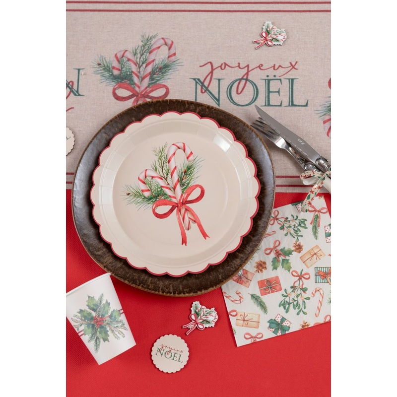 10 paper plates Christmas candy cane 22.5cm
