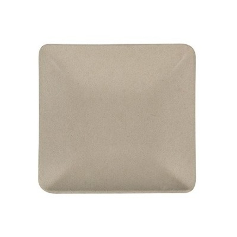 50 small sugar cane finger food plates natural