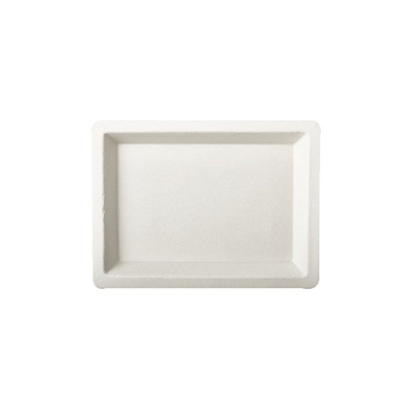 50 sugar cane plates Aida square 10 x 13.5cm