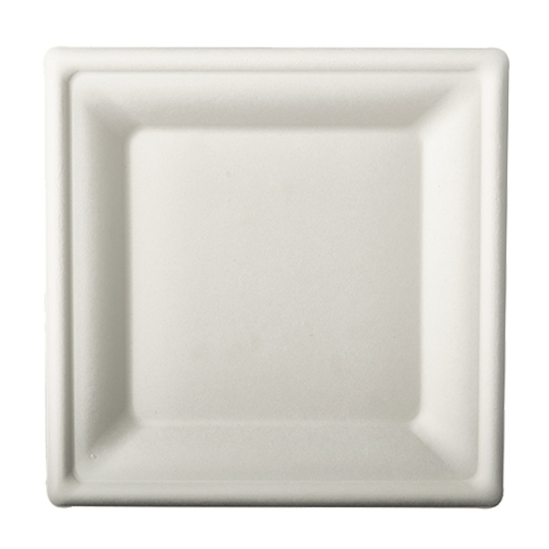 12 sugar cane plates Aida white 20 x 20cm