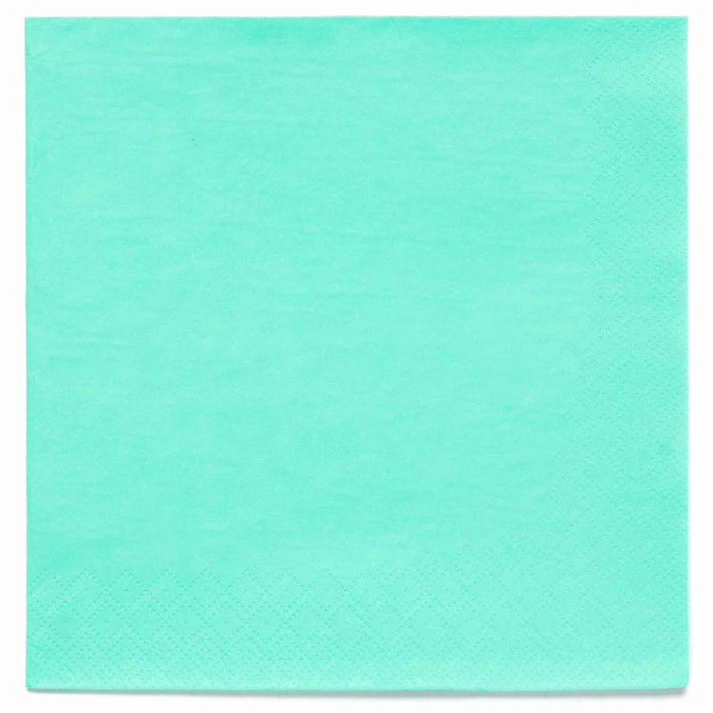 20 Duck Egg Eco napkins 33cm