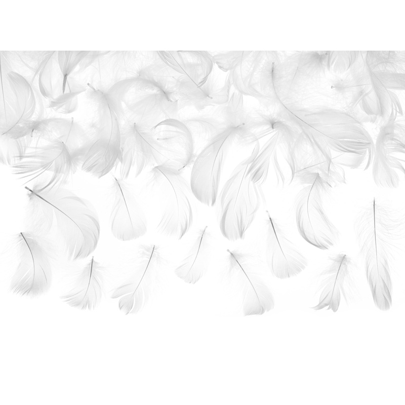 3g decorative feathers white 5-8cm