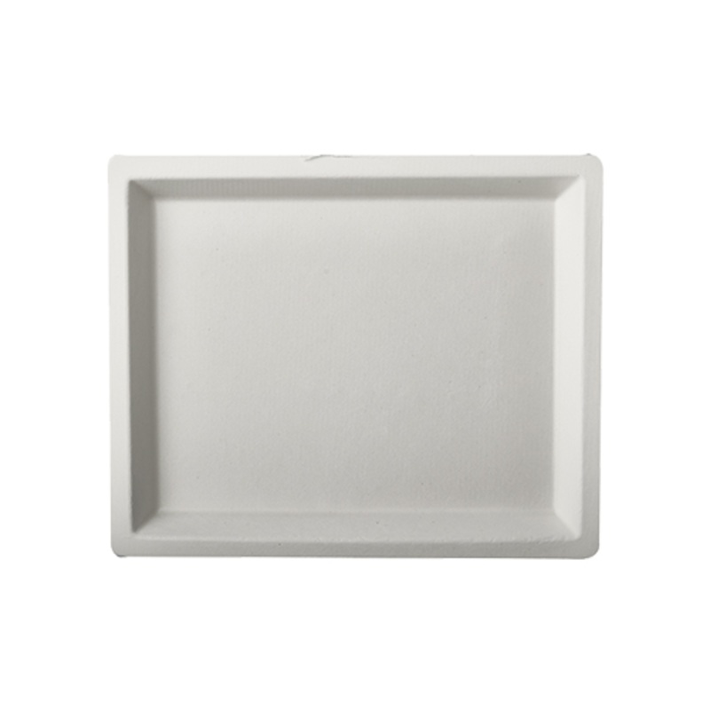 50 sugar cane plates Aida square 14 x 17cm