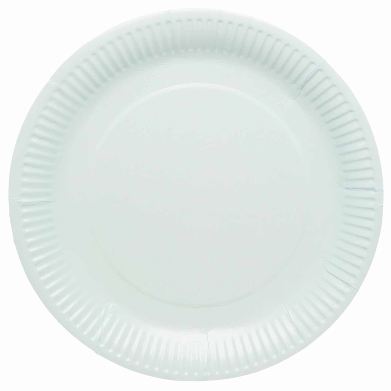 8 Duck Egg Eco paper plates 23cm