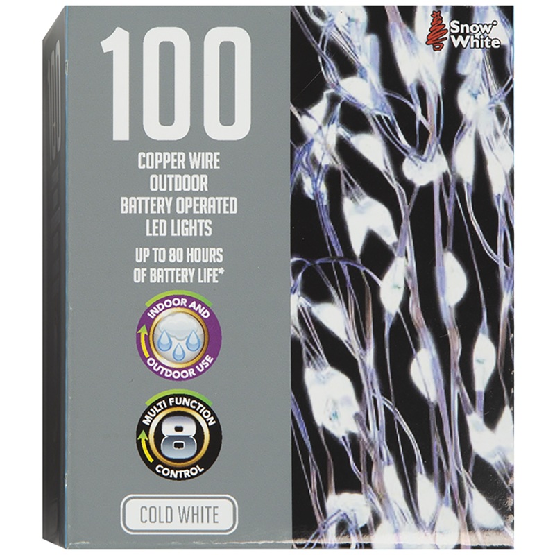 100 LED cold white fairy lights