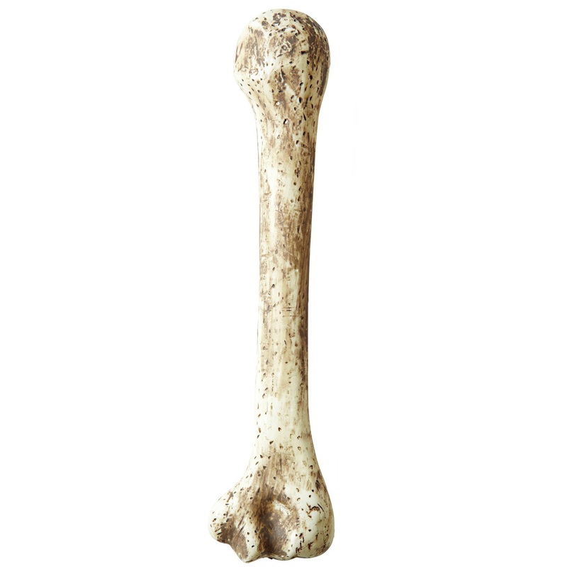 Neanderthal bone 36cm Bonius