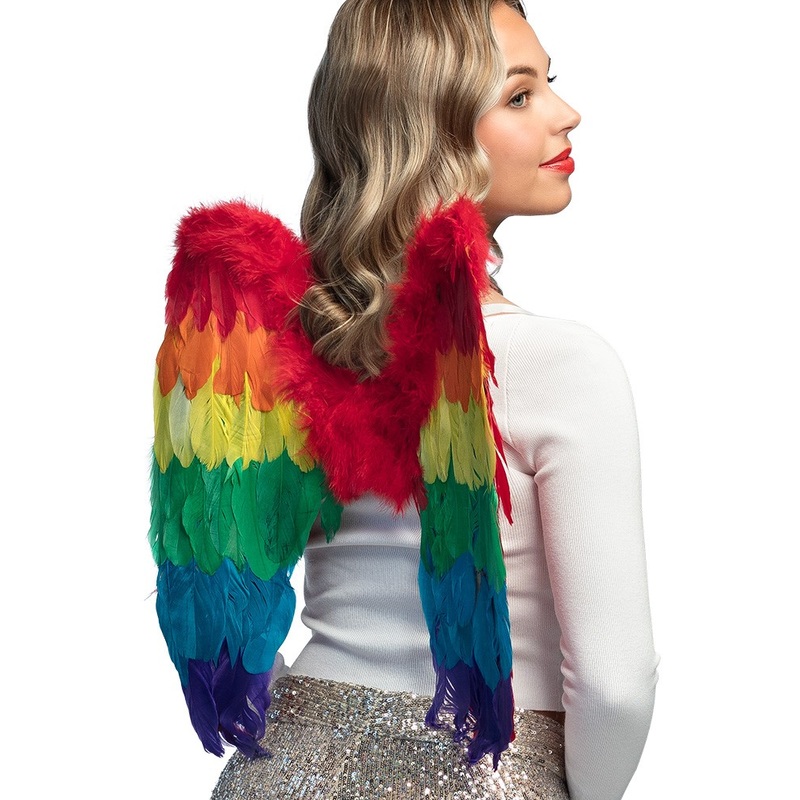 Colorful Pride angel wings 50 x 50cm