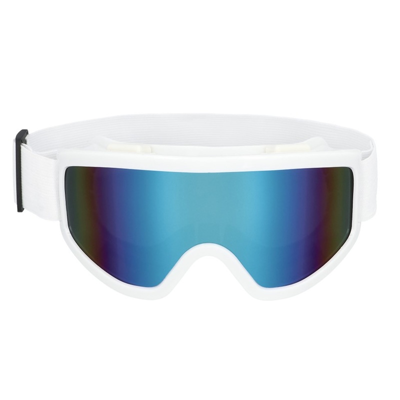 Stoked ski goggles in white