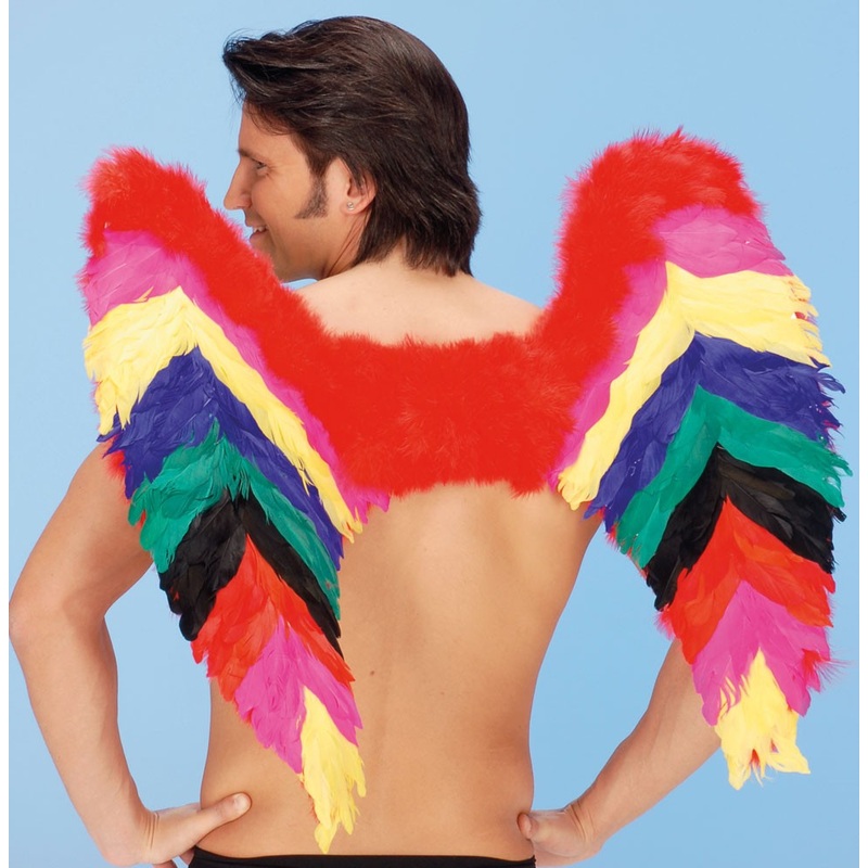 Colorful bird feather wings